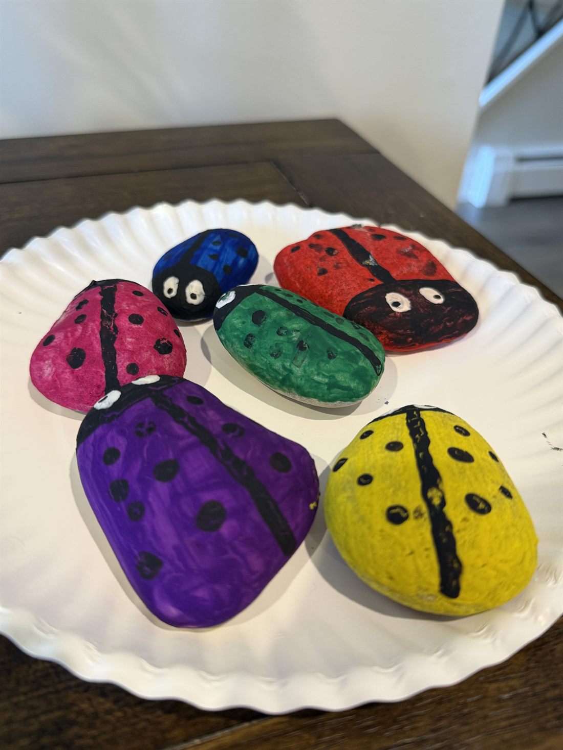 Six rocks hand-painted as ladybugs in pink, blue, red, green, purple and yellow, arranged on a white plate